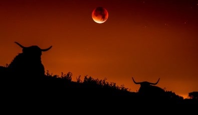 All about the Full Moon Lunar Eclipse in Taurus